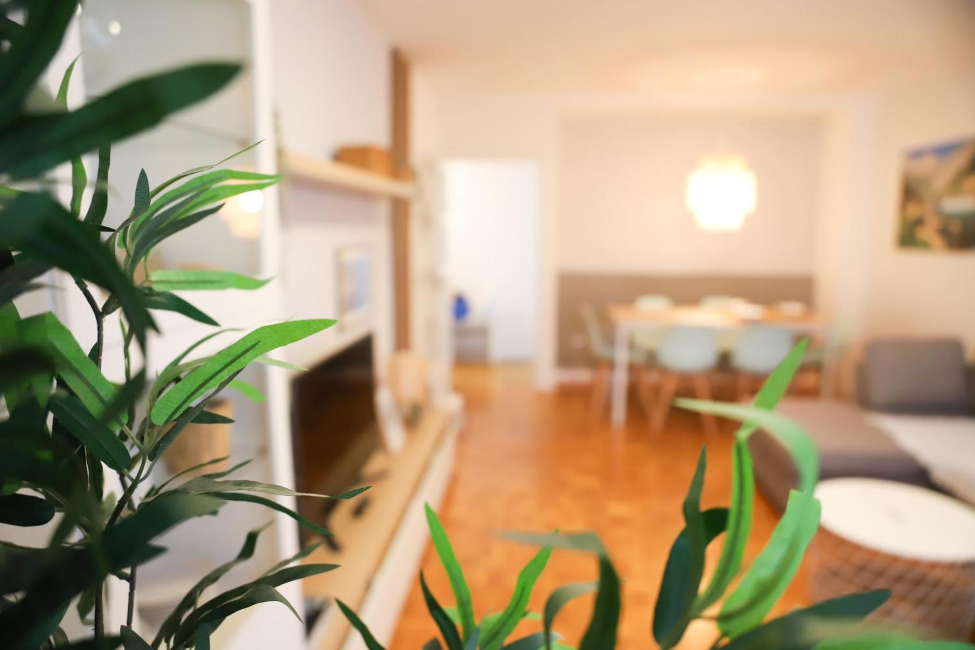 דירות Casa Aspe ז'אקה מראה חיצוני תמונה